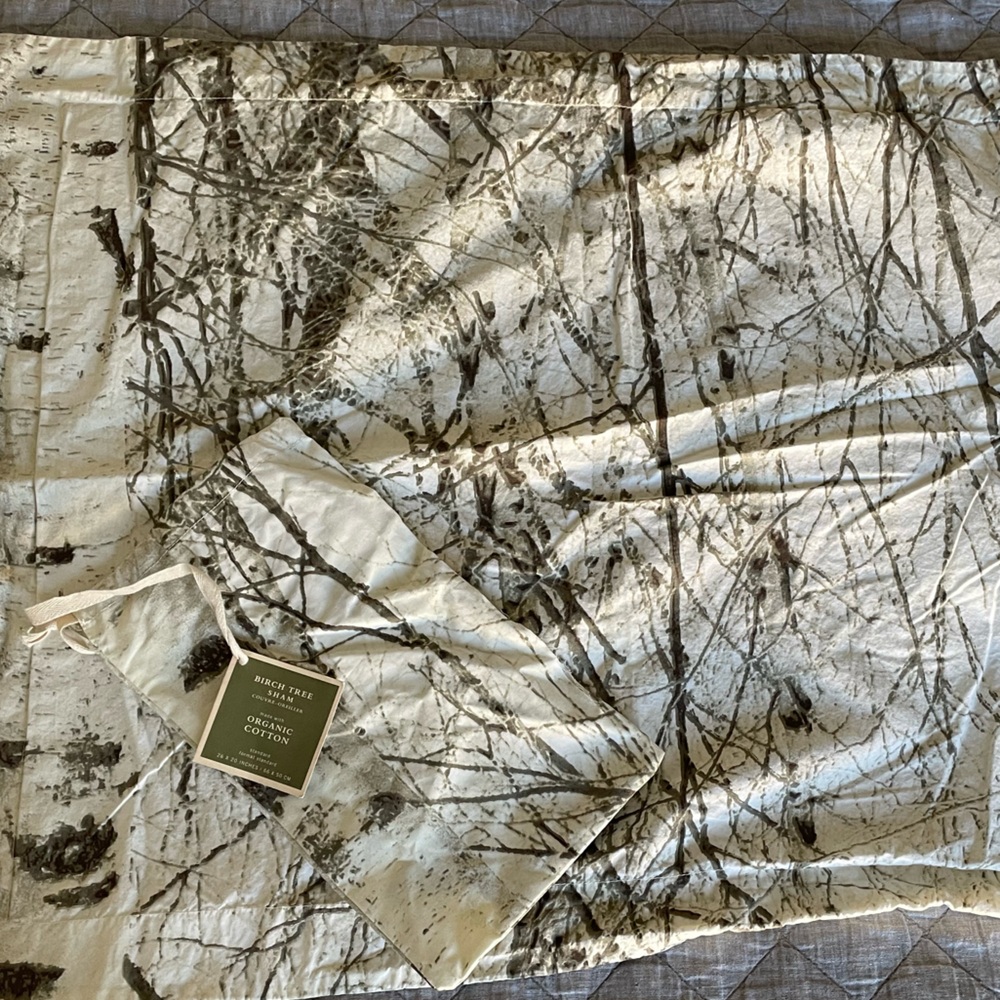 Pottery Barn Birch Tree Standard Pillow Sham